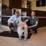 MacKay's Animal Hospital