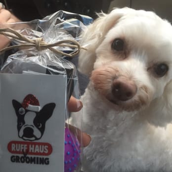 Ruff Haus Grooming - Lilly Chanel after her 1st Ruff Haus visit!! - Pet Groomers Near Me - Costa Mesa, California Ruff Haus Grooming - Lilly Chanel after her 1st Ruff Haus visit!! - Pet Groomers Near Me - Costa Mesa, California