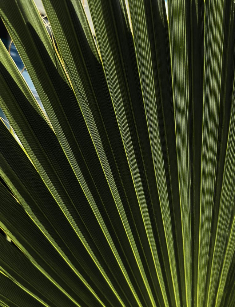 Slide of All Pro Plumbing