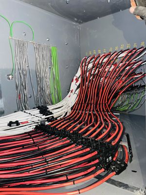 Electric Smart