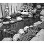 Photo of Illinois Water Features