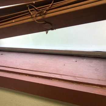 Stony Creek Lodge - Dead flies and broken blinds - Hotels Near Me Stony Creek Lodge - Dead flies and broken blinds - Hotels Near Me