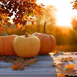 Green Matters Outdoor Design - Crisp Autumn Air is here, it's the perfect time to enjoy evenings by the fire. Call us today to install your own outdoor fire feature!
