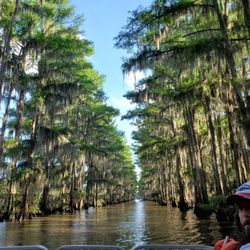 Mystique Tours
