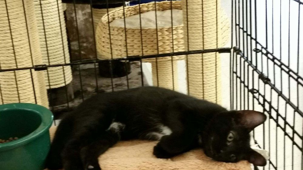 PET WORLD WAREHOUSE OUTLET Updated August 2024 33 Reviews 2148 W