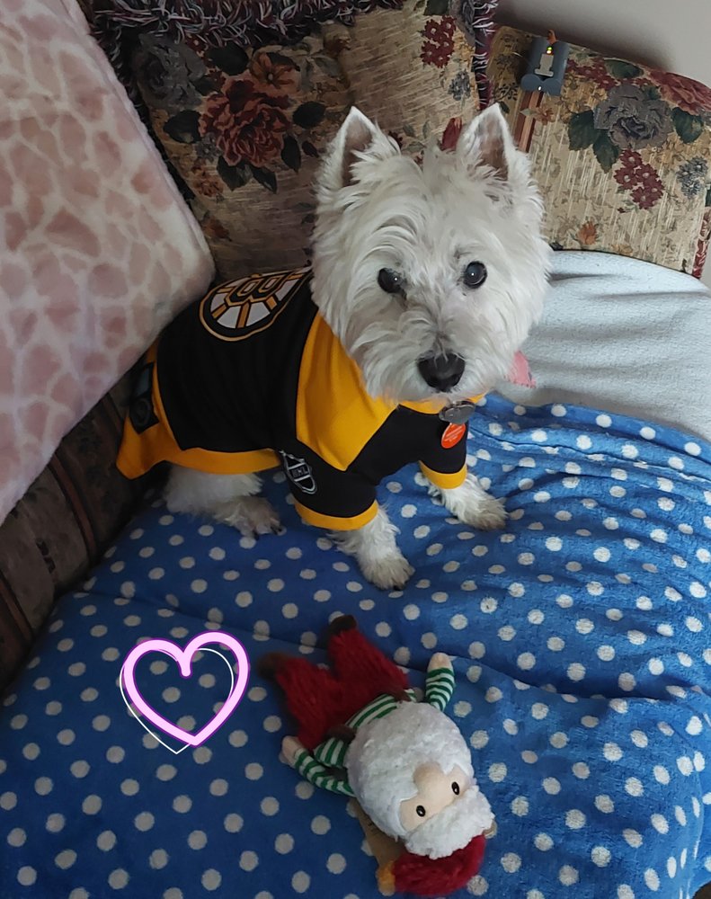 ROYAL NEWFOUNDLAND CONSTABULARY Updated May 2024 1 Fort Townshend