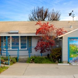 Castro Valley Companion Animal Hospital
