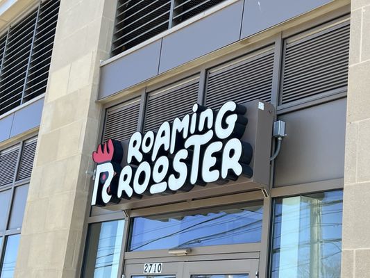Roaming Rooster by null