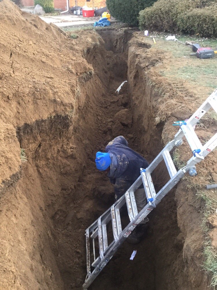 Slide of Mr Root Out