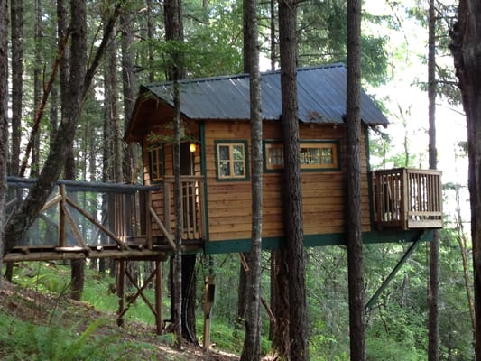 Vertical Horizons Treehouse Paradise by null