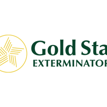 Gold Star Exterminators - Pest Control Near Me - Del Rio, Texas Gold Star Exterminators - Pest Control Near Me - Del Rio, Texas