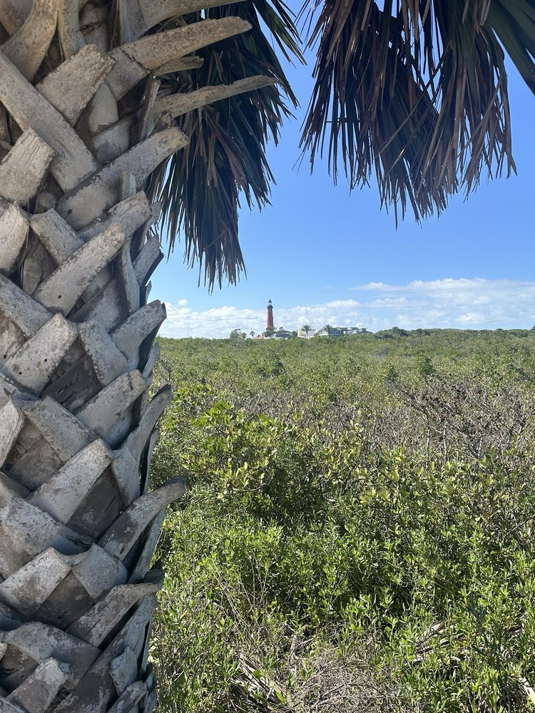 Ponce Inlet Dog Beach Logo
