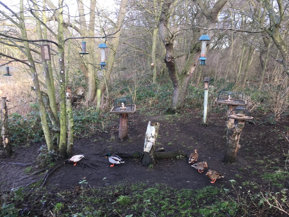 Low Barns Nature Reserve and Visitor Centre