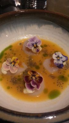 Kaiyo Cow Hollow by null