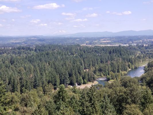 Bent Shovel Brewing - Beer Garden by null