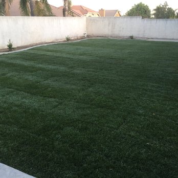 Tony's Landscape - After - Landscaping Near Me - Rialto, California Tony's Landscape - After - Landscaping Near Me - Rialto, California