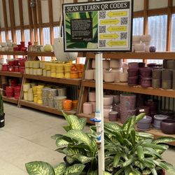 Portland Nursery - Inside pots and house plants