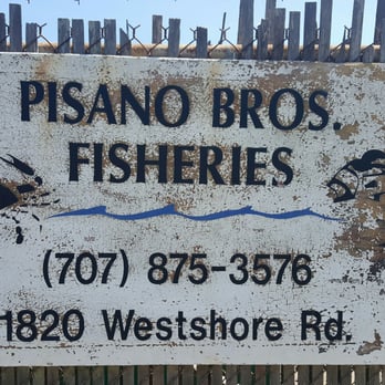 Paisano Bros - Best crab in Bodega Bay! - Seafood Markets Near Me - Bodega Bay, California Paisano Bros - Best crab in Bodega Bay! - Seafood Markets Near Me - Bodega Bay, California