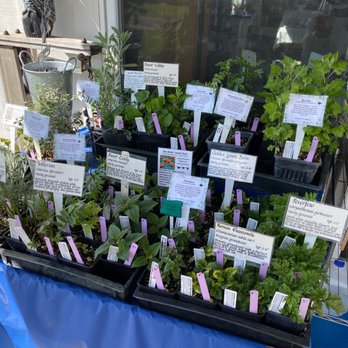 Chehelam Flats Farm Market - Herbs - Pick Your Own Farms Near Me - Newberg, Oregon
