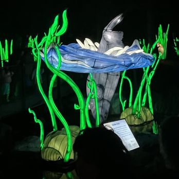 LA Zoo Lights - Zoos Near Me - Los Angeles, California LA Zoo Lights - Zoos Near Me - Los Angeles, California