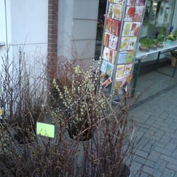 Mettmanner Blumenhaus Elke Speck