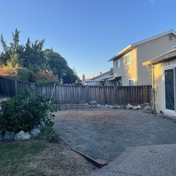 Apex Tree Care - Tree post-removal - Tree Services Near Me