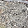 1st Choice Foundation Repair