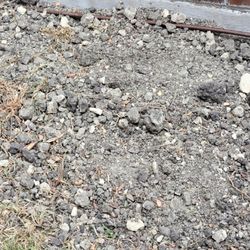 1st Choice Foundation Repair