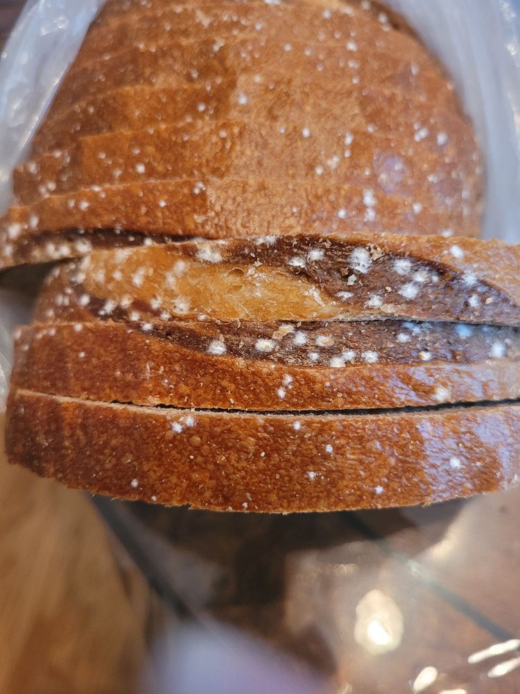 BAGEL PLUS 26 Photos & 34 Reviews 634 Sheppard Avenue W, North York