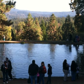 High Hill Ranch - Fish Pond with pretty view! - Donuts Near Me - Placerville, California High Hill Ranch - Fish Pond with pretty view! - Donuts Near Me - Placerville, California