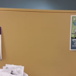Department of Consumer Services - The epitome of why city services are so efficient.