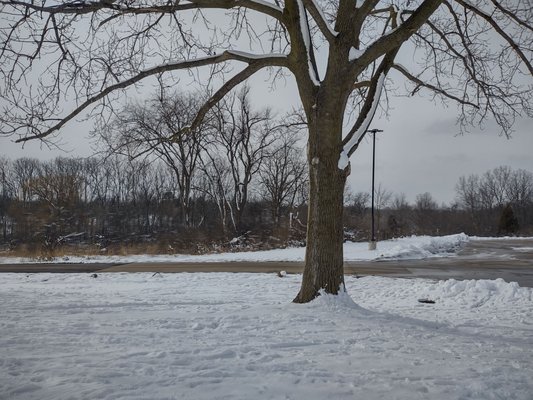 Plymouth Township Park by null