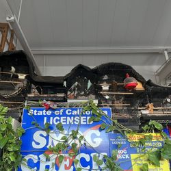 Quality Smog Check & Oil Change - Waiting area beautiful birds