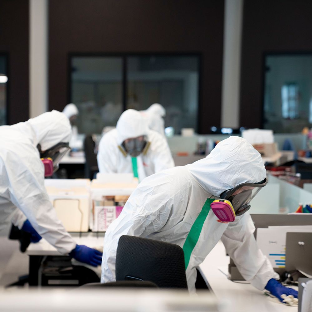 Servpro - mold inspector in Dubuque, IA