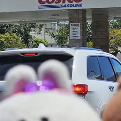 Costco Gasoline - Long lines on 4.21.24