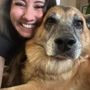 All Creatures Pet Services