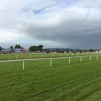 Down Royal Racecourse - Horses coming down the track - Stadiums & Arenas Near Me - Lisburn, LSB