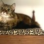Photo of The Cat's Meow Inn