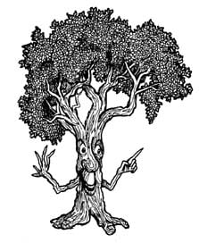 M.R. Tree Service - tree service in Eugene, OR