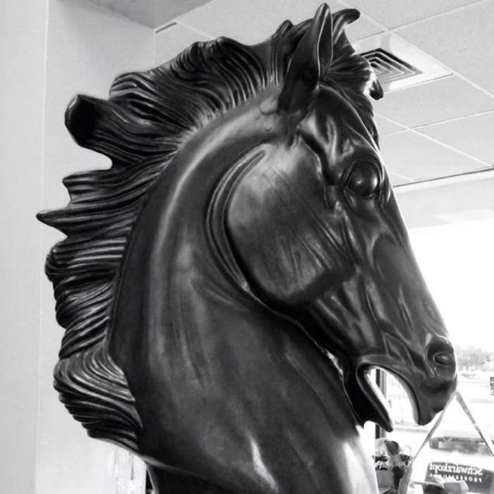 Crazy Horse Salon Image