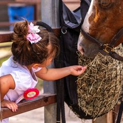 Windmill Stables - Helping feed a friend at a birthday party.