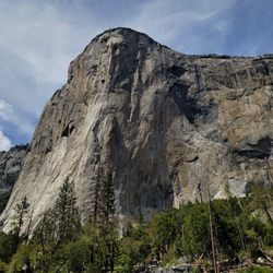 Yosemite Valley Floor Tour