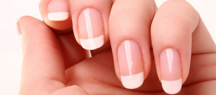 Orchid Nails Logo
