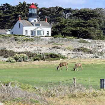 Pacific Grove Golf Links - Pacific Grove Link - Golf Near Me - Pacific Grove, California Pacific Grove Golf Links - Pacific Grove Link - Golf Near Me - Pacific Grove, California