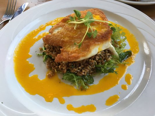 Fiddlehead Bistro by null