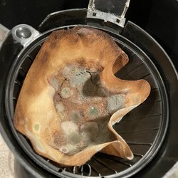 Sea Colony - Mold and old coffee grinds left in the coffee pot