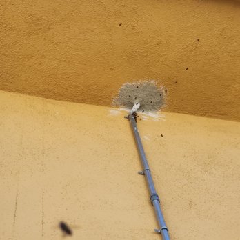 The Bees Knees - Poor bees wondering where their front door went...Sorry guys, Arin patched it up! - Pest Control Near Me - Kagel Canyon, California The Bees Knees - Poor bees wondering where their front door went...Sorry guys, Arin patched it up! - Pest Control Near Me - Kagel Canyon, California