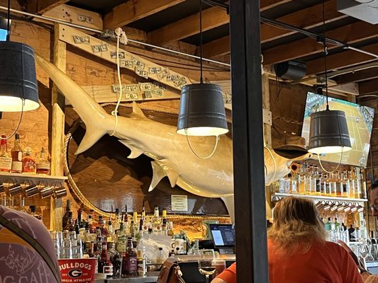 Shuckin' Shack Oyster Bar by null
