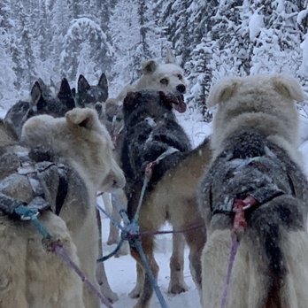 Paws For Adventure - Tours Near Me Paws For Adventure - Tours Near Me