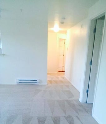 Dago Best Carpet Cleaning